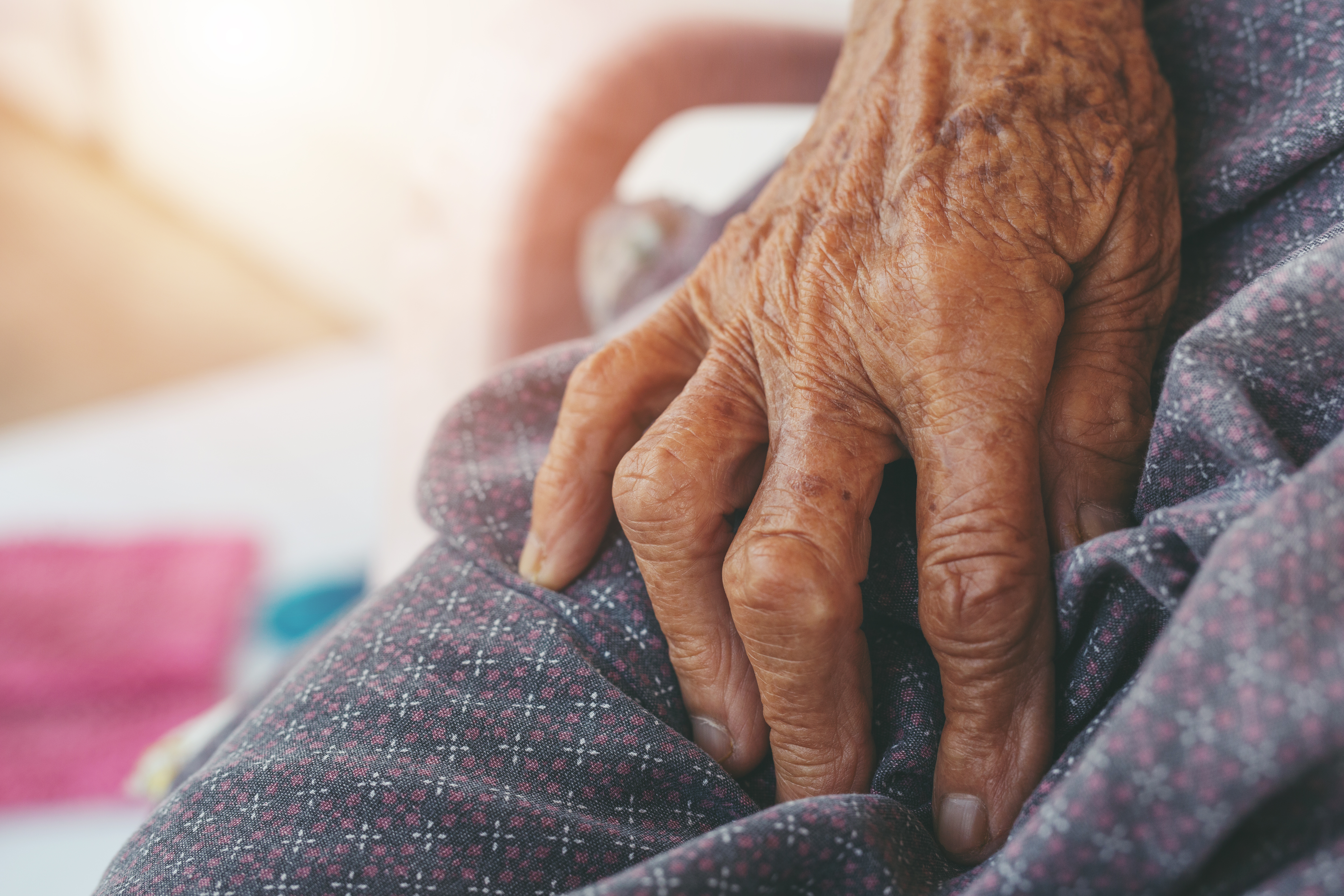 Imagem principal da Notícia