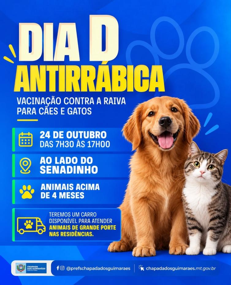 Imagem principal da Notícia
