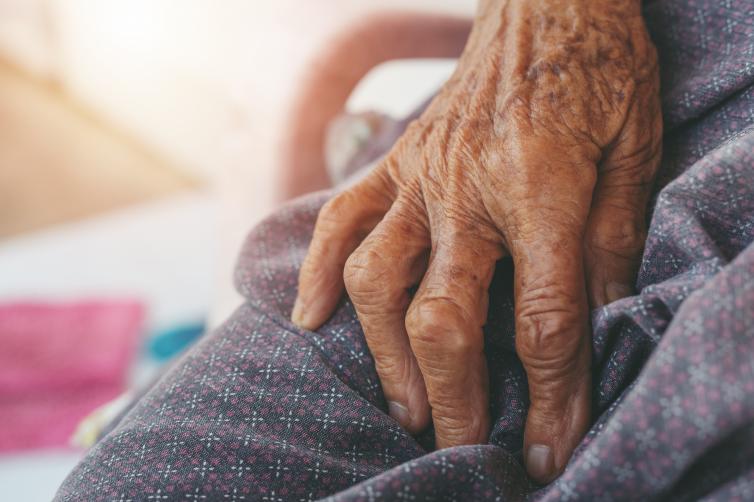 Imagem principal da Notícia